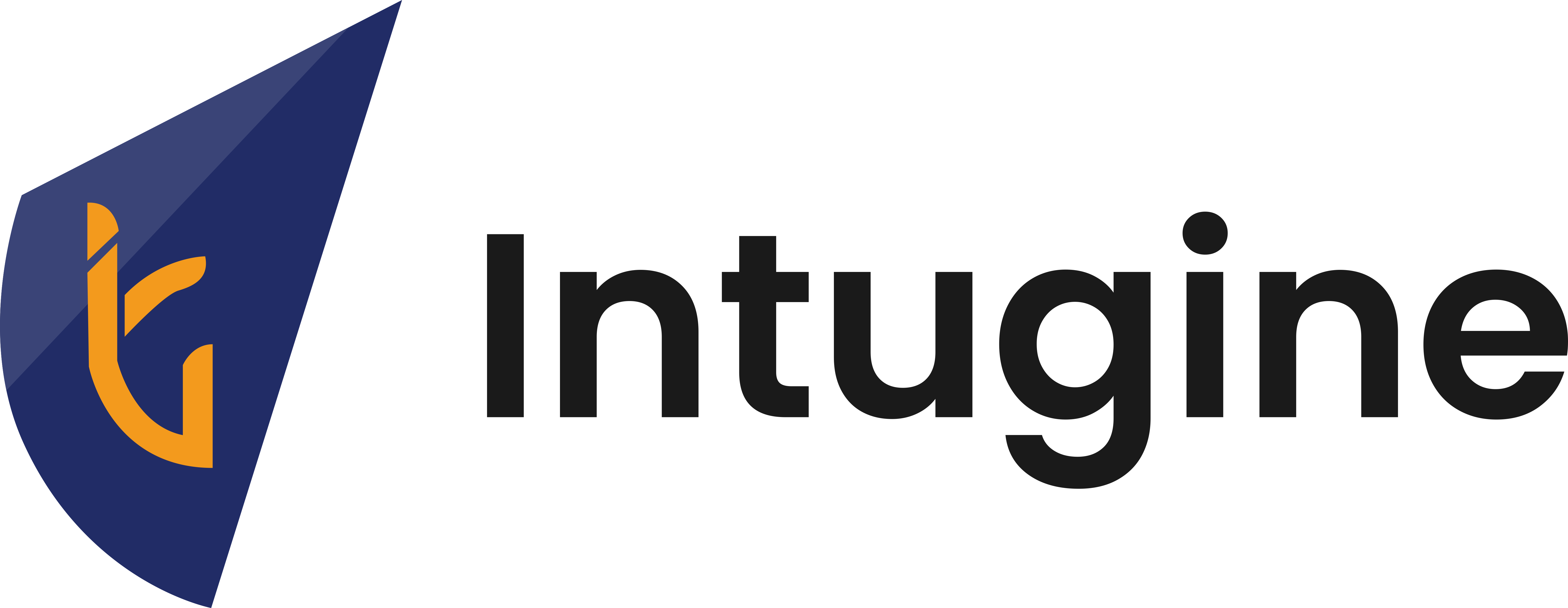 Intugine_logo